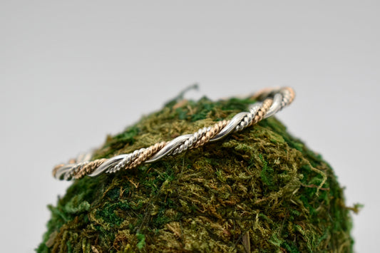 Double Silver & Gold Twist