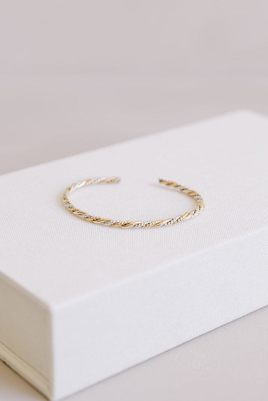 Double Gold & Silver Twist
