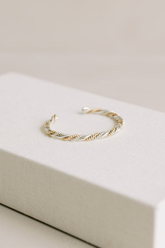 Double Silver & Gold Twist