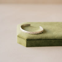 The Silver Wanda Lee